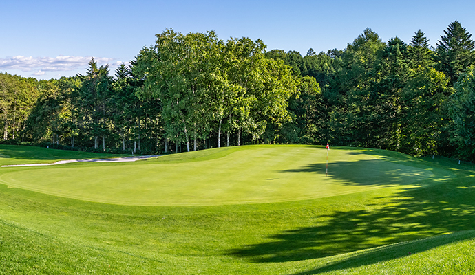 Commercial golf course