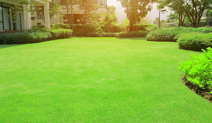 Artificial turf installed in a bright, sunlit garden, creating a vibrant and green outdoor space