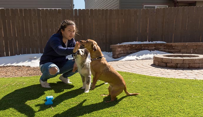A woman playing with dogs